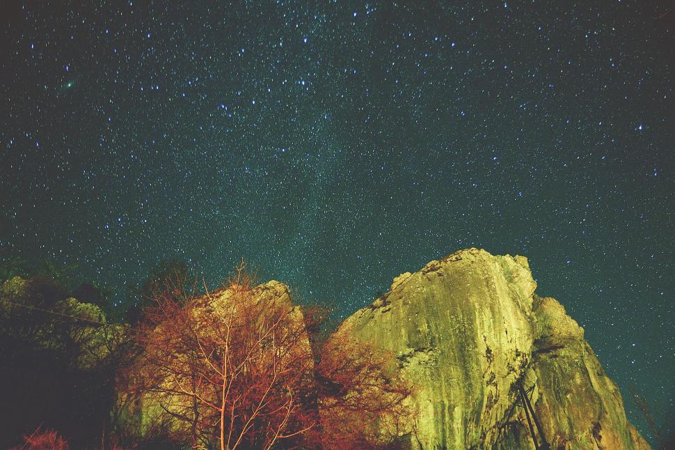 Free Image of Star-Filled Night Sky With Trees 