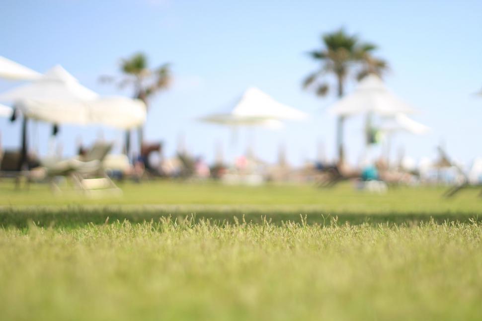 Free Image of Blurry Grass Area With Umbrellas in Background 