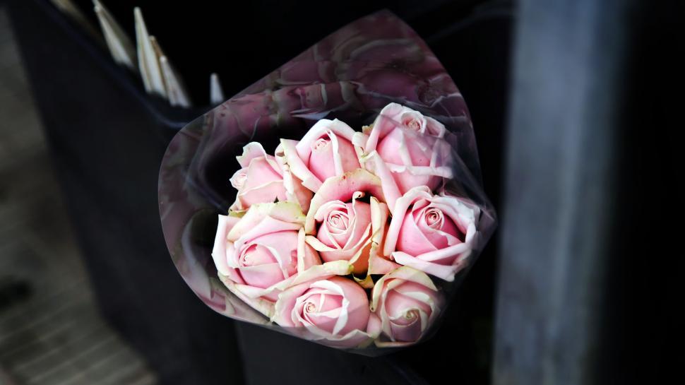 Free Image of Bouquet of Pink Roses in Black Bag 
