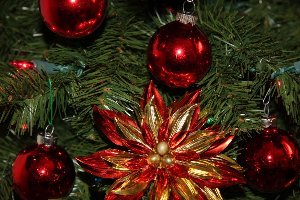 Free Image of Red Christmas ornaments 