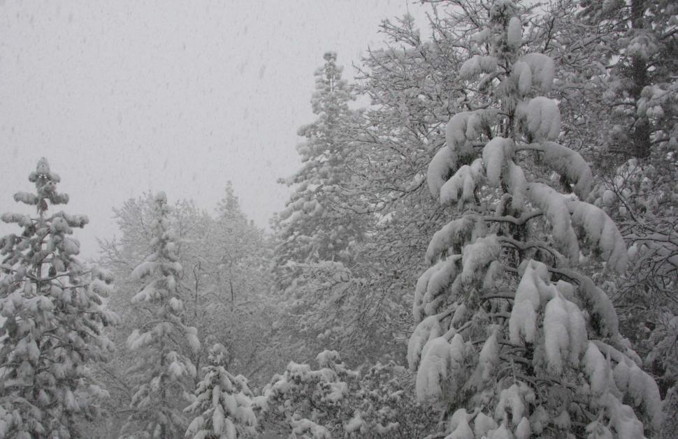 Free Image of Snowstorm in Sierra Nevada mountains 