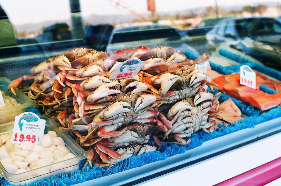 Free Image of Assorted Seafood in Display Case 