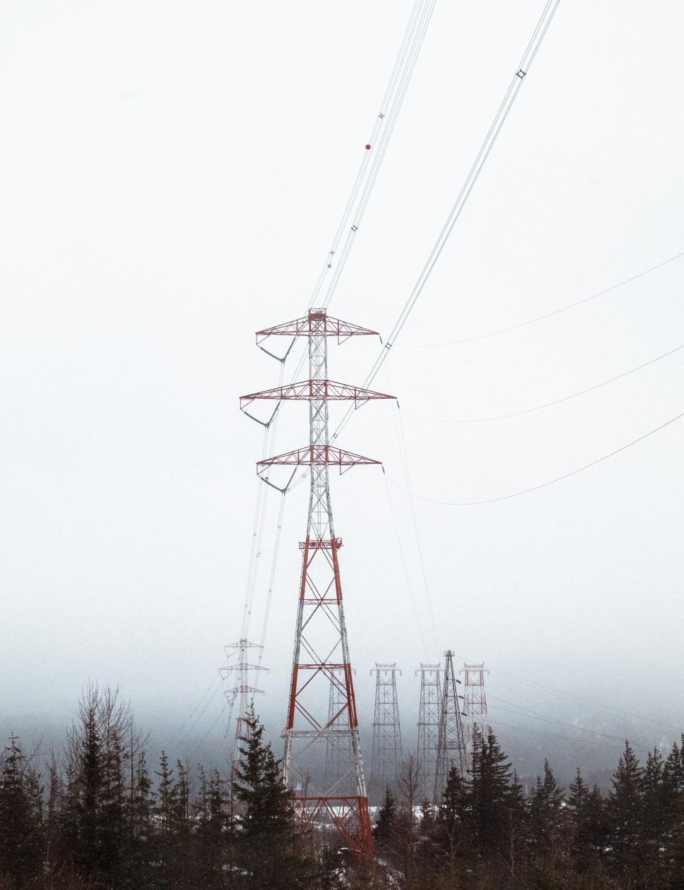 Free Image of Power Line Cutting Through Forest 