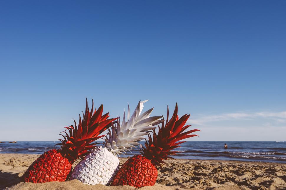 Free Image of Two Pineapples on Sandy Beach 