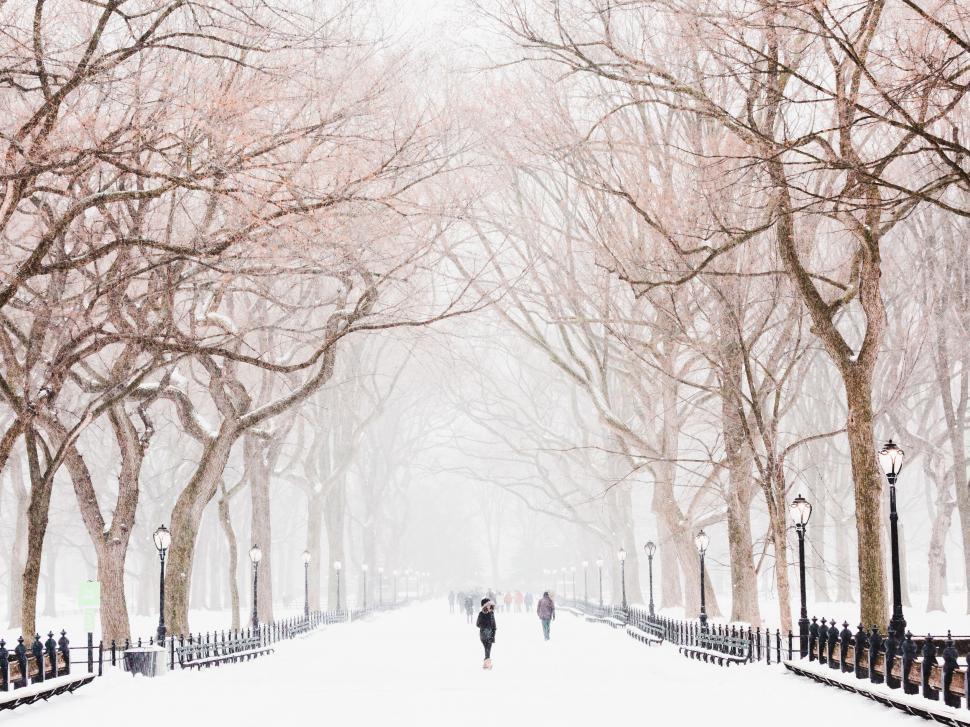 Free Image of Two People Walking Down a Snow-Covered Street 