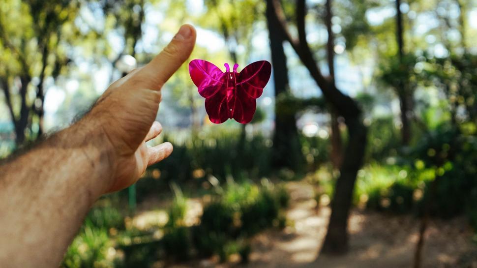 Free Image of Hand Holding Pink Butterfly in Forest 