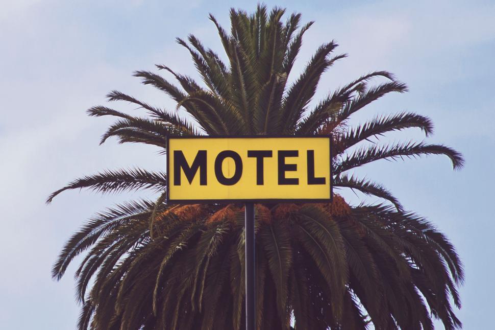 Free Image of Palm Tree With Yellow Motel Sign 