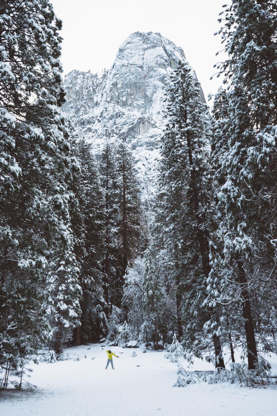 Free Image of Person Walking Through a Snow Covered Forest 