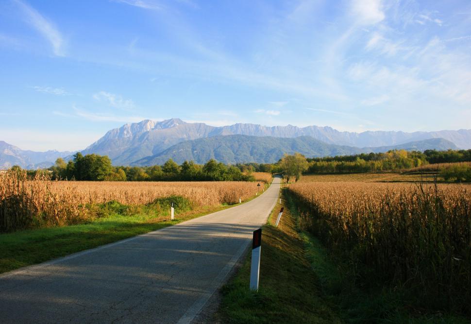 Free Image of Paved Road in Field With Mountains Background 