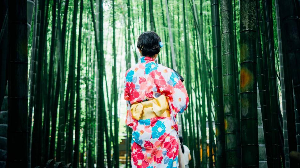 Free Image of Woman in Kimono Standing in Front of Bamboo Forest 