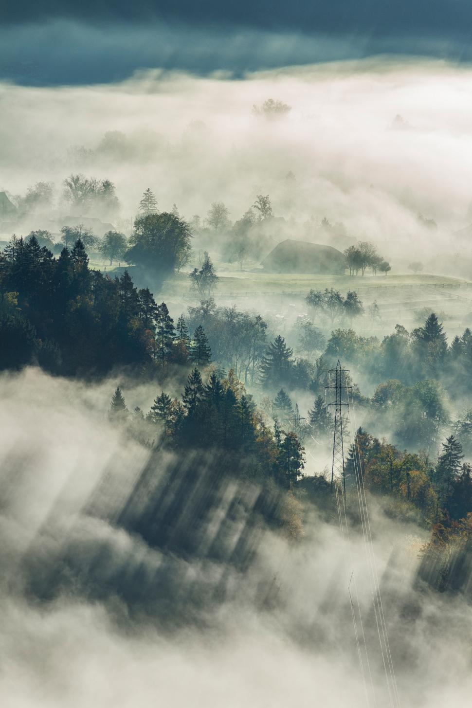 Free Image of Fog Envelops Forest Landscape 