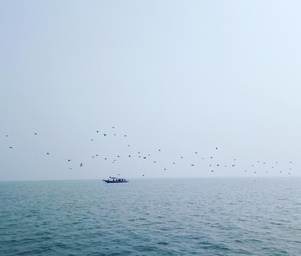 Free Image of Birds Flying Over Boat in Ocean 