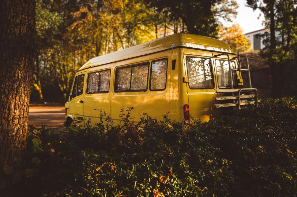 Free Image of Yellow Bus Parked in Forest 