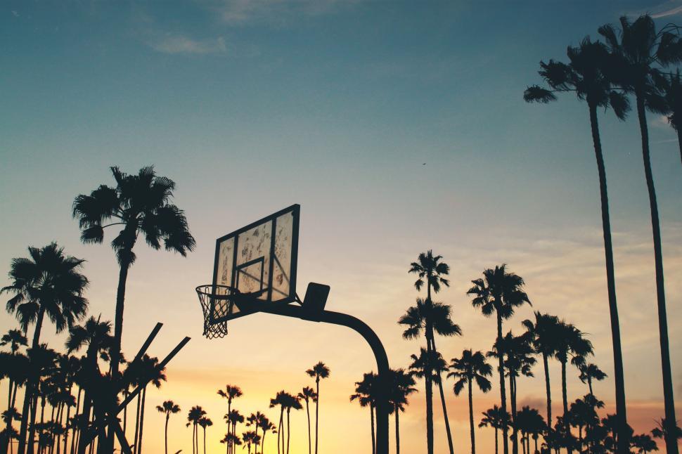 Free Image of Basketball Hoop in Front of Palm Trees 
