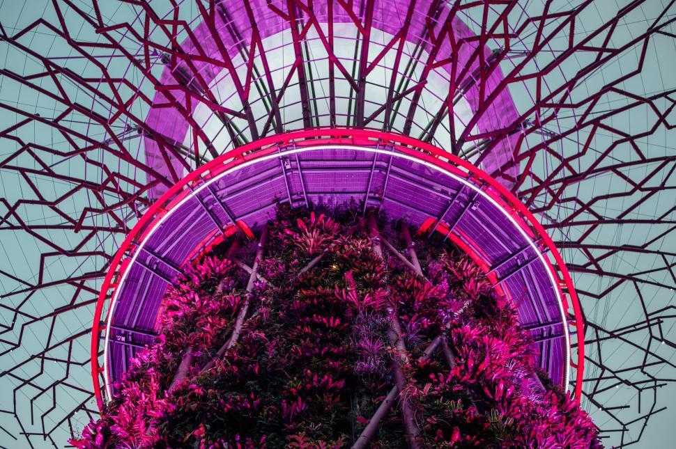 Free Image of Iconic Ferris Wheel With Trees in Foreground 