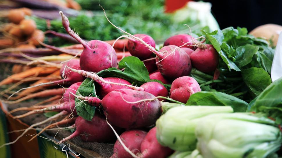 Free Image of Assorted Radishes and Carrots on a Table 