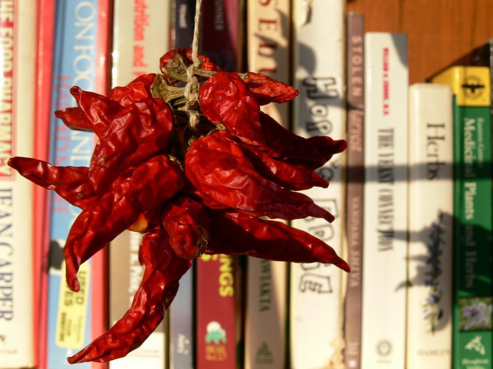 Free Image of Dried Chilis 