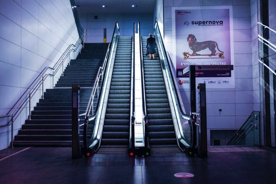 Free Image of Escalator in Building With Lion Wall 