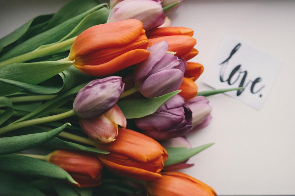 Free Image of Bouquet of Tulips With Love 