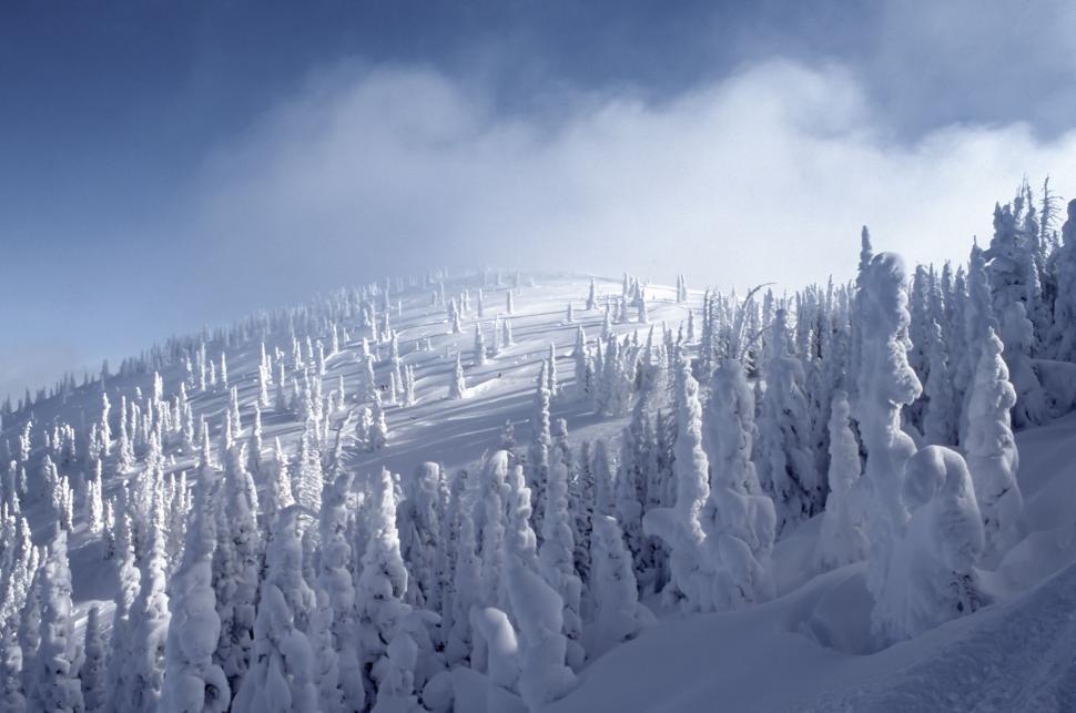 Free Image of Snow-Covered Ski Slope in Winter Wonderland 