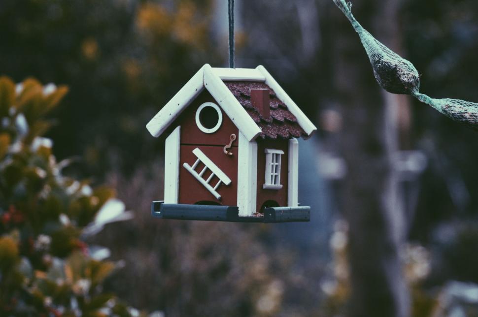 Free Image of Bird House Hanging From Tree Branch 