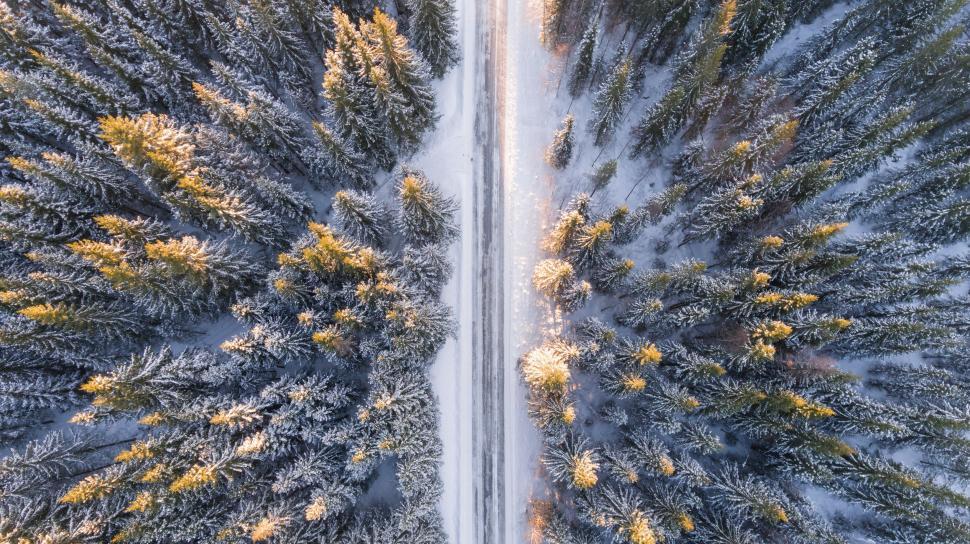 Free Image of Aerial View of Snow Covered Trees Along a Road 
