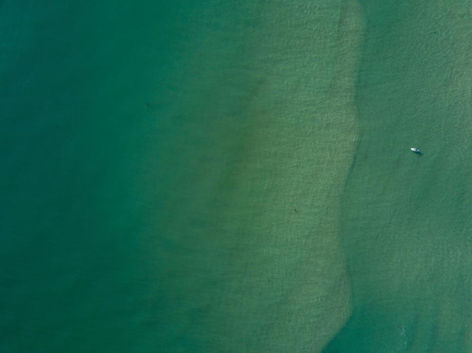 Free Image of dugong sea cow nematode aquatic mammal water wallpaper digital space worm backdrop pattern texture 