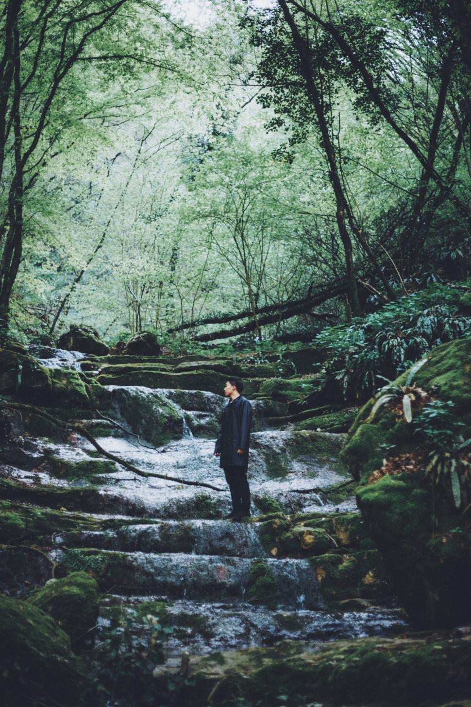 Free Image of Man Standing on Steps in Forest 