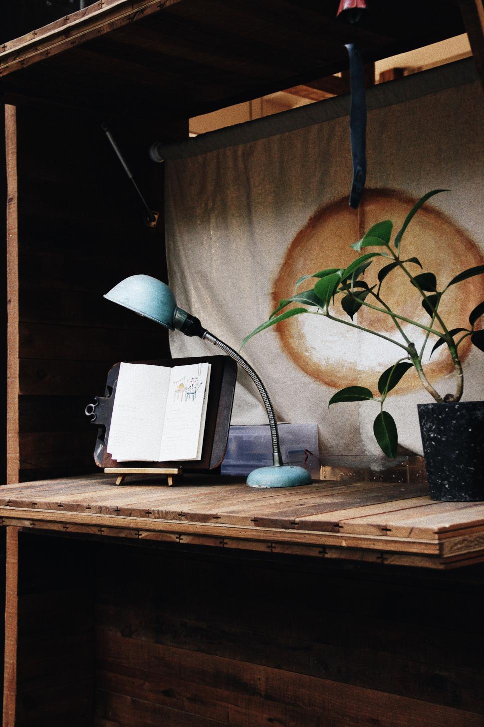 Free Image of Table With Plant and Lamp. 