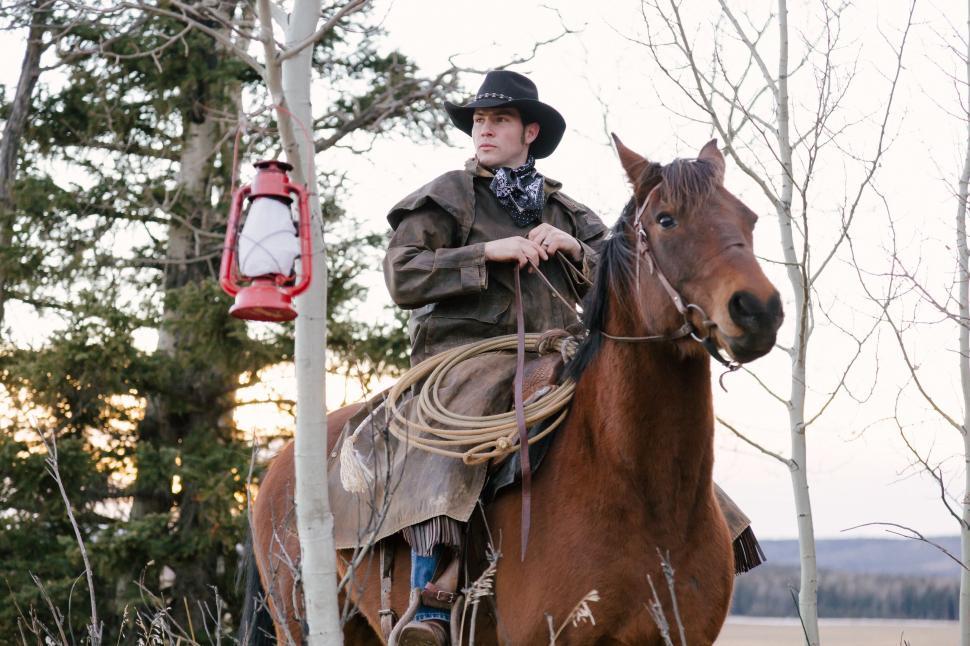 Free Image of Man Riding on Brown Horse 