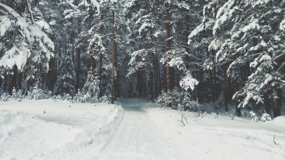 Free Image of Snow Covered Road 