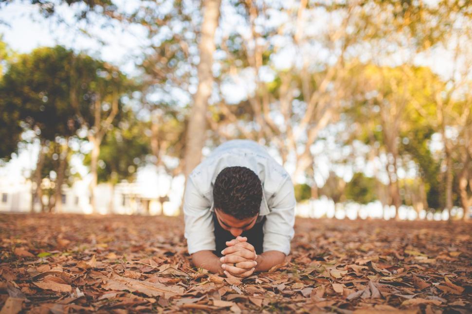 Free Image of Man Kneeling in Leaves 