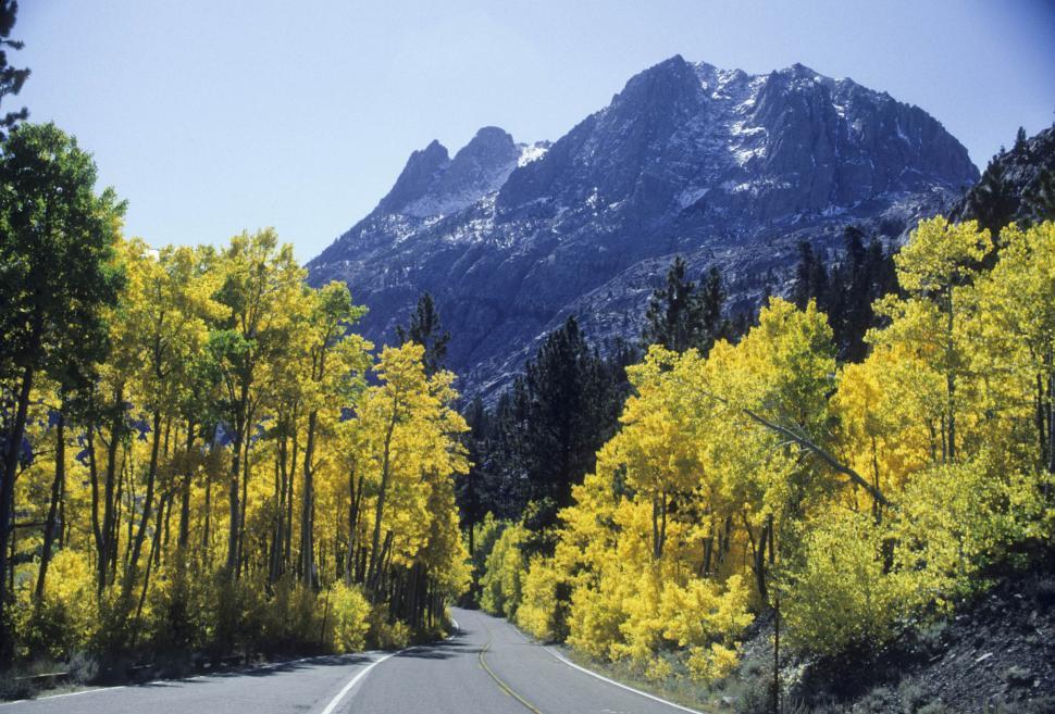 Free Image of road through forest and mountains 