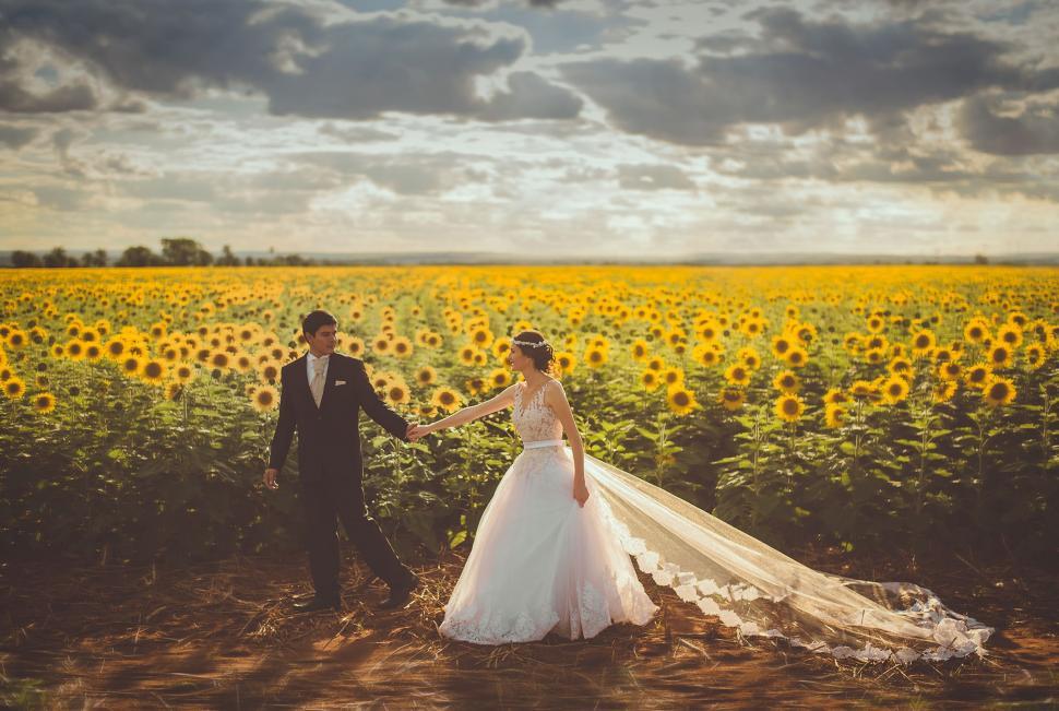 Free Image of Bride and Groom Holding Hands in a Sunflower Field 