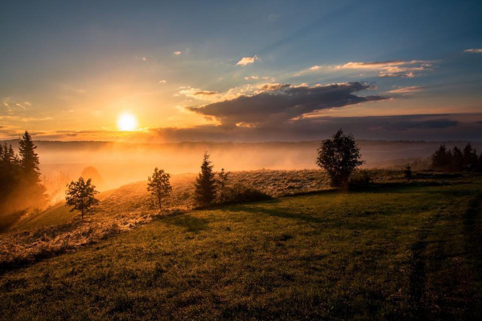 Free Image of Sun Setting Over Foggy Field 