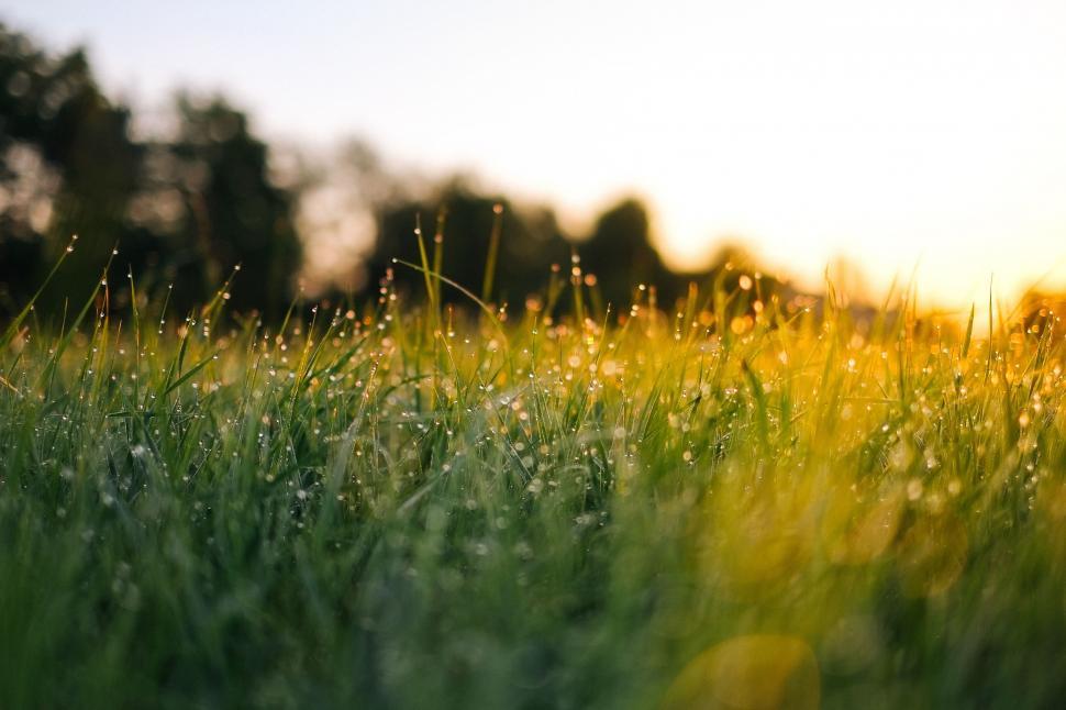 Free Image of Sun Setting Over Grassy Field 