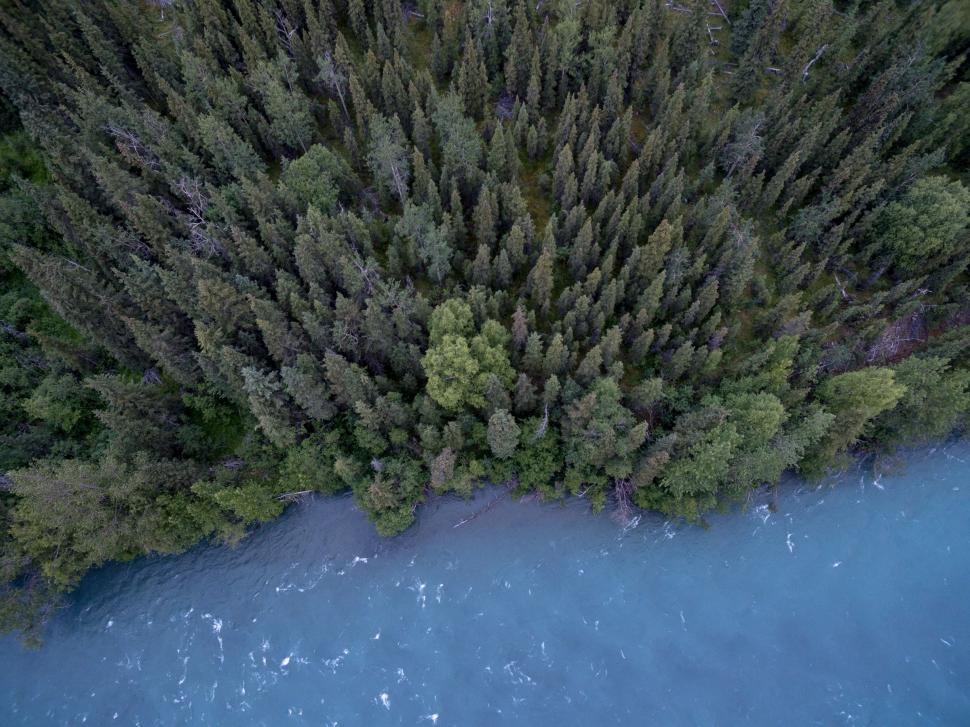 Free Image of Aerial View of River Surrounded by Trees 