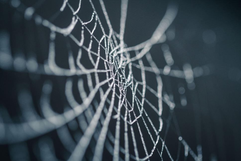Free Image of Intricate Spider Web on Black Background 
