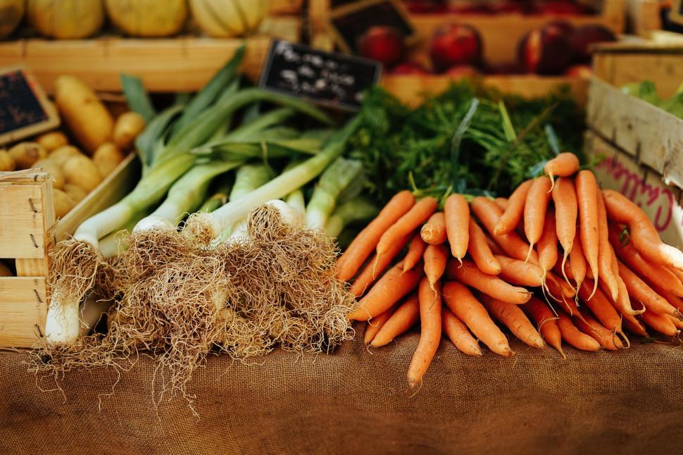 Free Image of Fresh Carrots, Celery, and Various Vegetables Display 