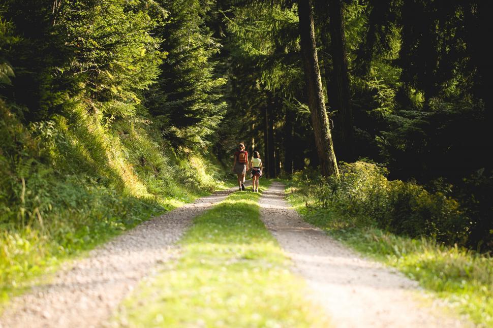 Free Image of Person Riding a Bike Down a Dirt Road 