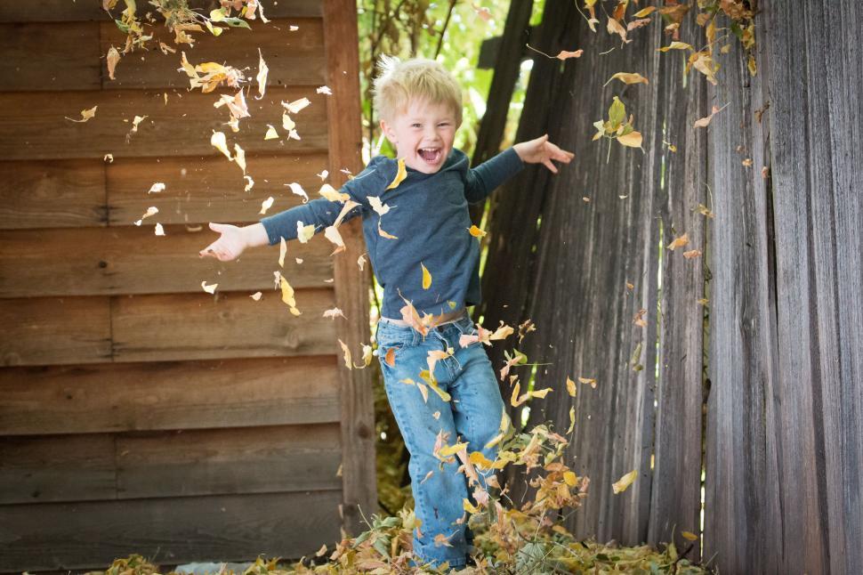 Free Image of Young Boy Throwing Leaves in the Air 