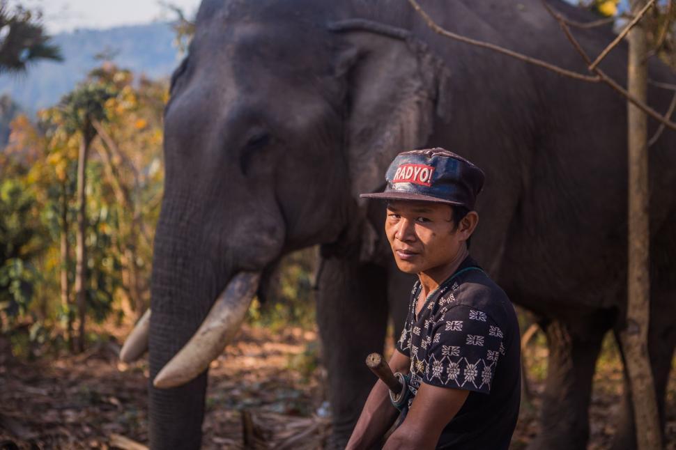 Free Image of Man Standing Next to Elephant in Forest 