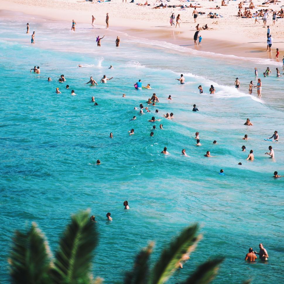 Free Image of Many People Swimming in the Water at the Beach 