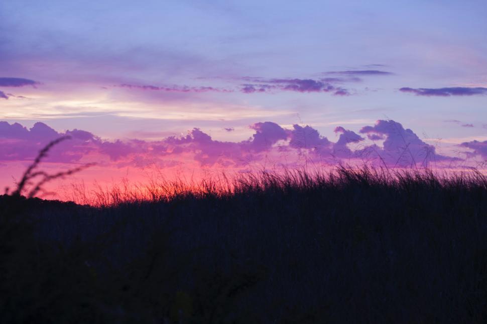 Free Image of Field With Tall Grass and Purple Sky 