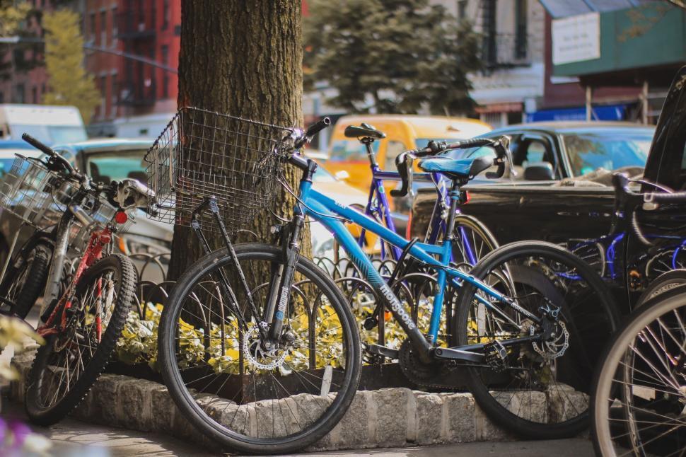 Free Image of Two Bikes Parked Next to Tree 