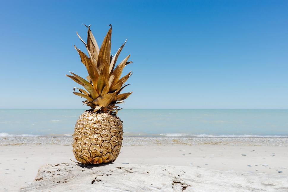 Free Image of Pineapple on Top of Sandy Beach 