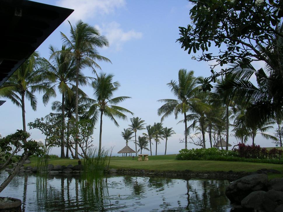 Free Image of Bali 