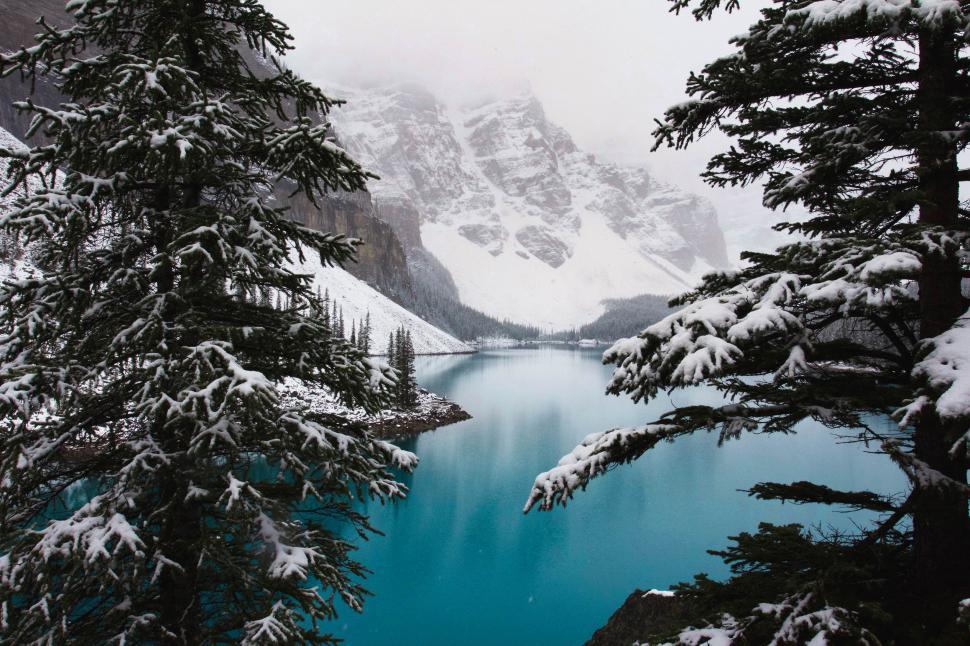 Free Image of Blue Lake Surrounded by Snow Covered Trees 