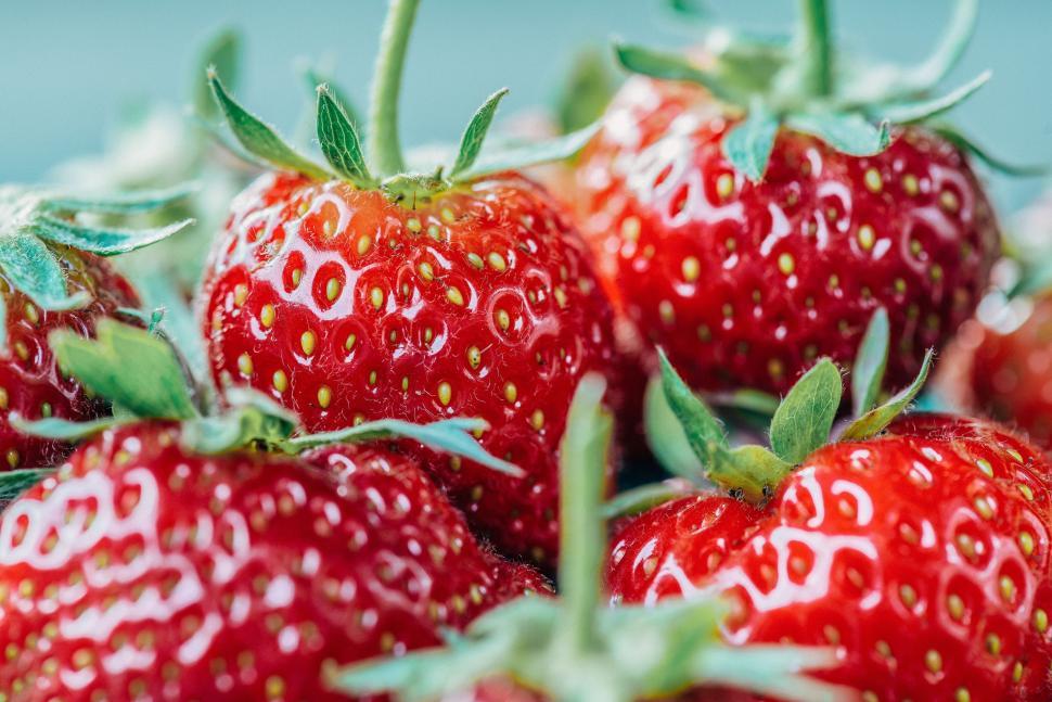 Free Image of Close Up of Many Fresh Strawberries 