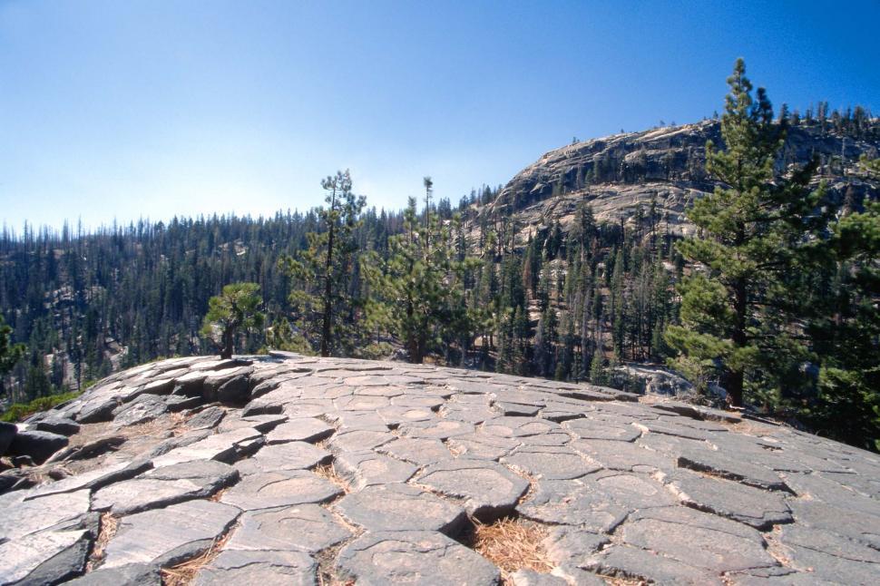 Free Image of pines trees mountains rocks devils postpile national monument columns basalt wilderness geological formation 